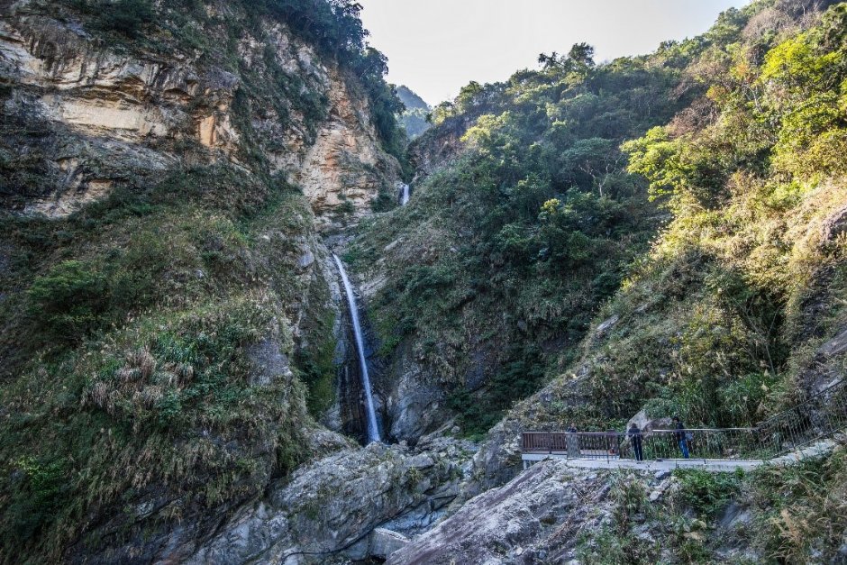 Custom Placeholder Image