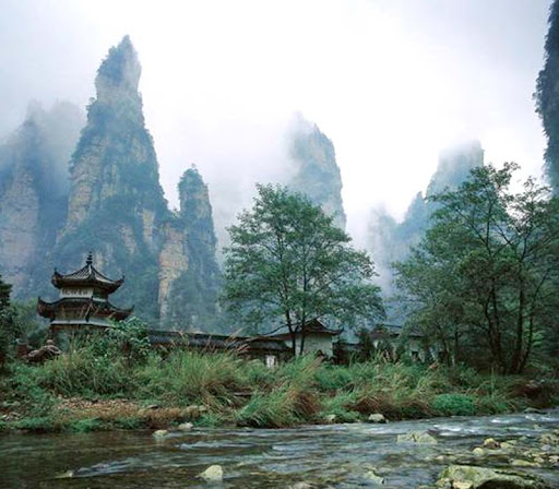 Custom Placeholder Image