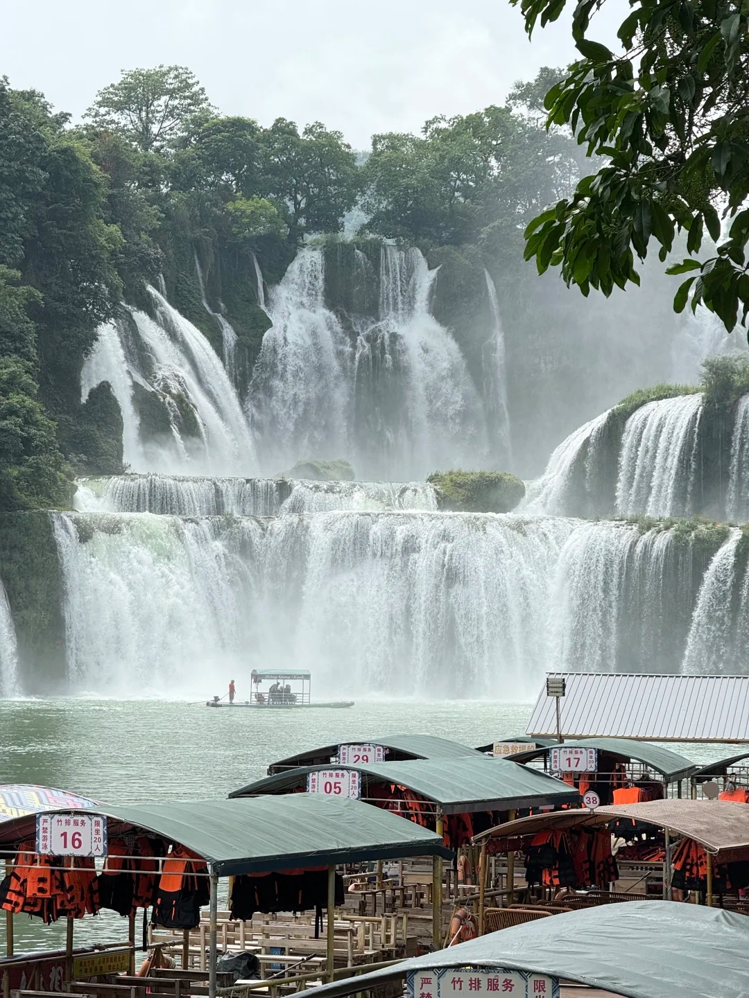 Custom Placeholder Image