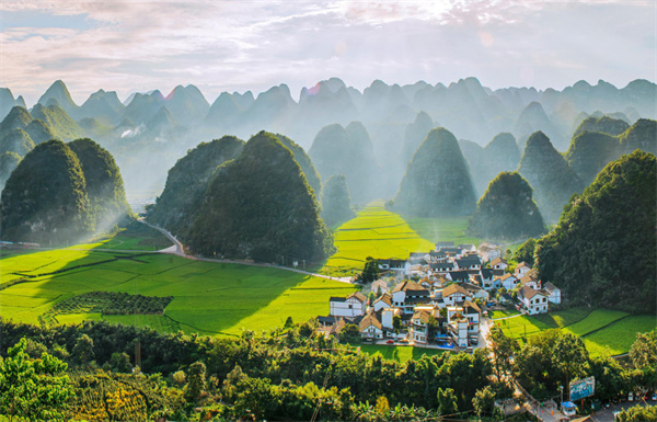 Custom Placeholder Image