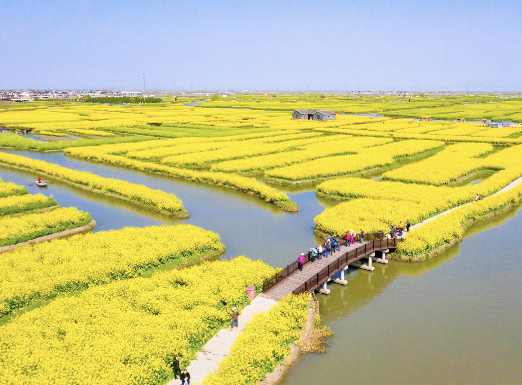 Custom Placeholder Image