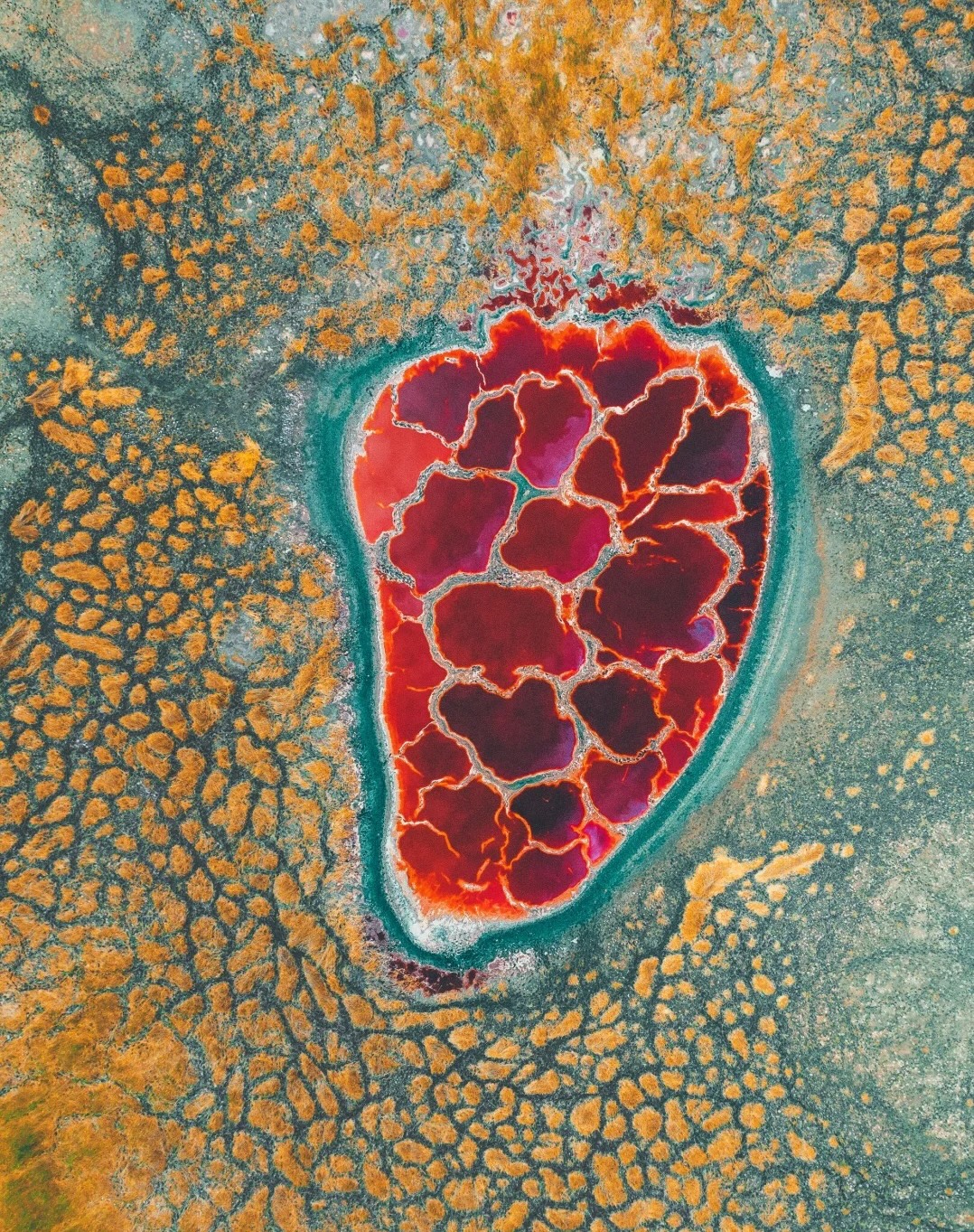 Custom Placeholder Image